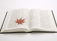 记者：本-西蒙斯预计加盟绿军；此前曾有4-6支球队对其有意，本·西蒙斯集锦