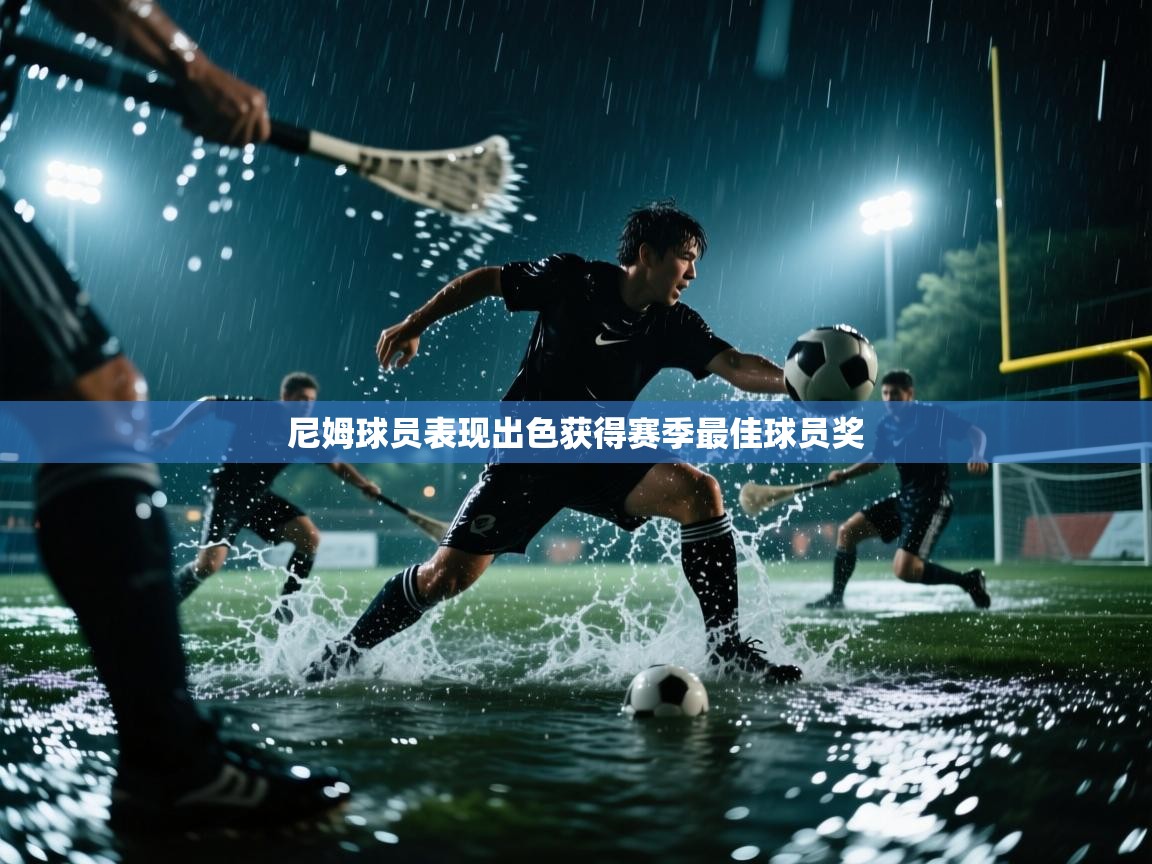 尼姆球员表现出色获得赛季最佳球员奖